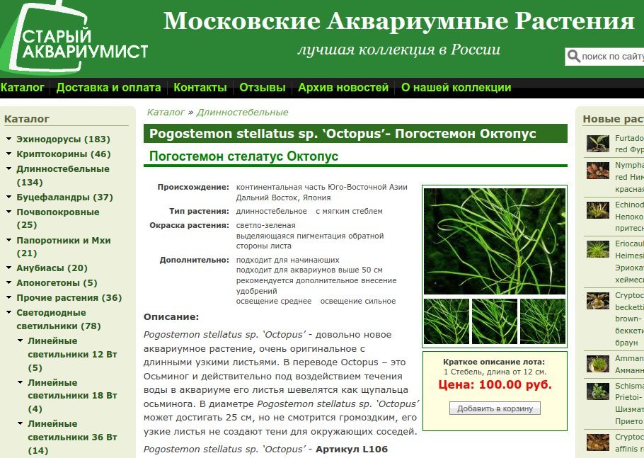 staraqua.ru Старый аквариумист